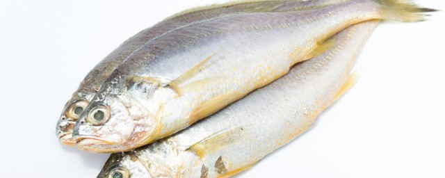 凍青魚怎麼做好吃 凍青魚的做法