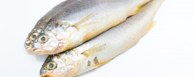 傢常凍魚怎麼做好吃 傢常凍魚的烹飪方法