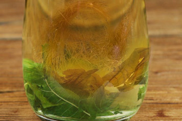 玉米須桑葉青錢柳茶的功效與作用、禁忌和食用方法