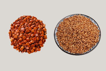 酸棗仁和柏子仁一起服用的功效與作用、禁忌和食用方法