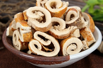 生桑白皮的功效與作用、禁忌和食用方法