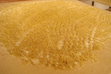 獼猴桃花粉的功效與作用、禁忌和食用方法