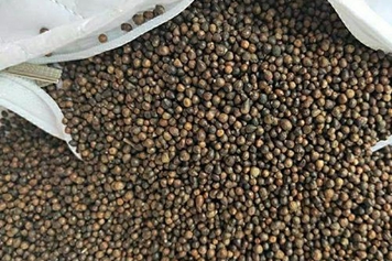 荊棵種子的功效與作用、禁忌和食用方法