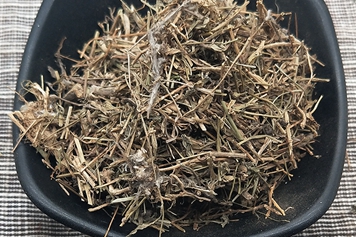 六月寒草的功效與作用、禁忌和食用方法