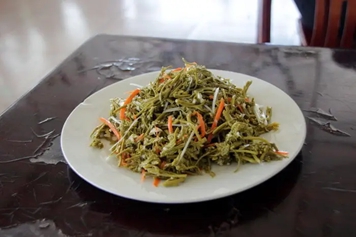 茉莉芽野菜的功效與作用、禁忌和食用方法