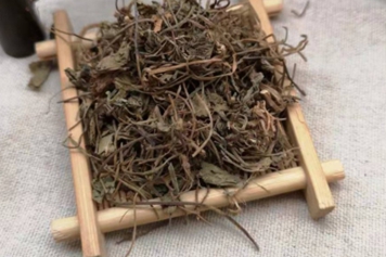 龍戟草的功效與作用、禁忌和食用方法