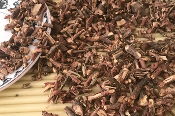 麻黃根的功效與作用、禁忌和食用方法
