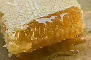 馬蜂巢蜜的功效與作用、禁忌和食用方法
