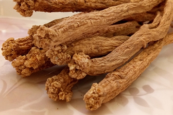 潞參的功效與作用、禁忌和食用方法