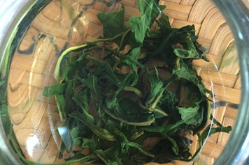 貓兒刺葉泡水喝的功效與作用、禁忌和食用方法