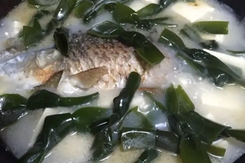 鯽魚豆腐海帶湯的功效與作用、禁忌和食用方法