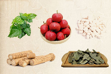 青錢柳牛蒡根桑葉山楂葛根的功效與作用、禁忌和食用方法