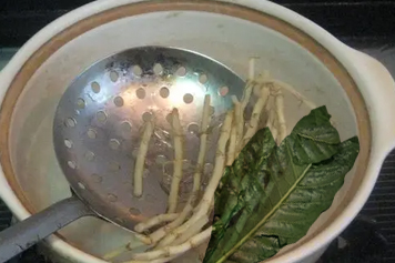 枇杷葉和魚腥草一起煮水的功效與作用、禁忌和食用方法