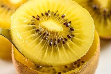 黃金奇異果的功效與作用、禁忌和食用方法
