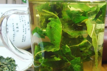 桑葚葉茶的功效與作用、禁忌和食用方法