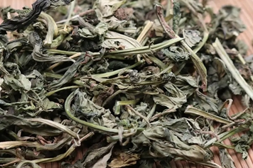中靈草的功效與作用、禁忌和食用方法