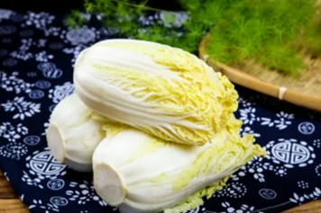 黃芽白菜的功效與作用、禁忌和食用方法