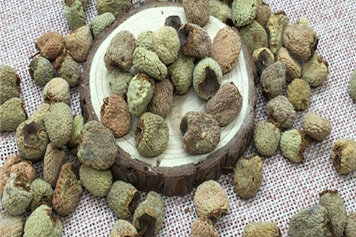 烏藨子的功效與作用、禁忌和食用方法