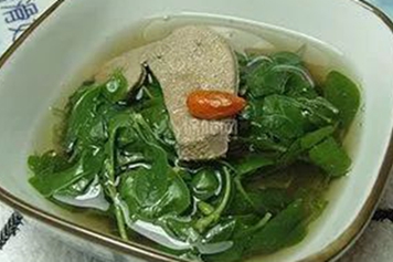 車前草和生薑一起煮水的功效與作用、禁忌和食用方法