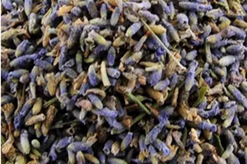 蕃楸草茶的功效與作用、禁忌和食用方法