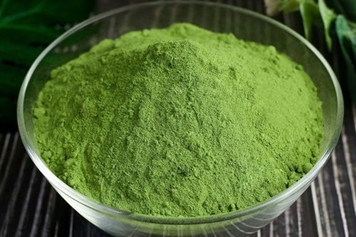 蛇膽粉的功效與作用、禁忌和食用方法