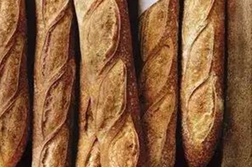 法棍的功效與作用、禁忌和食用方法