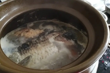 粉葛鯽魚湯的功效與作用、禁忌和食用方法