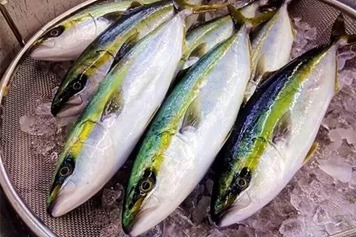 油甘魚的功效與作用、禁忌和食用方法