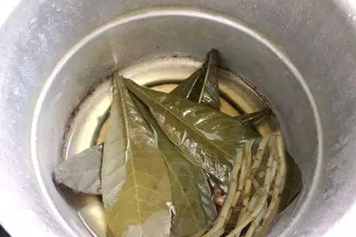 魚腥草枇杷葉煮水的功效與作用、禁忌和食用方法