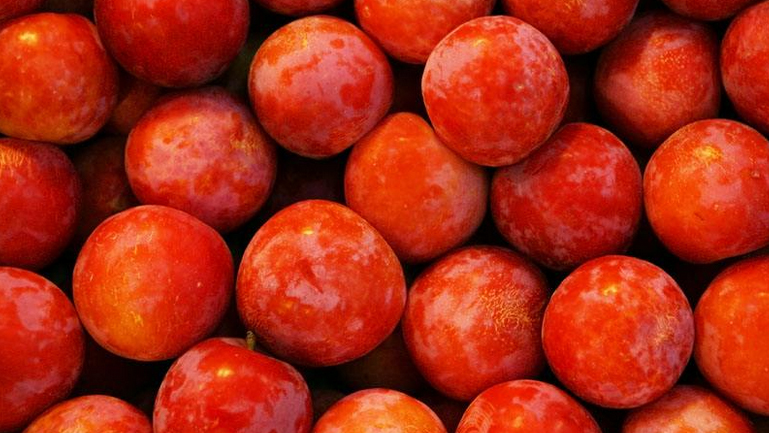 紅李子的功效與作用、禁忌和食用方法