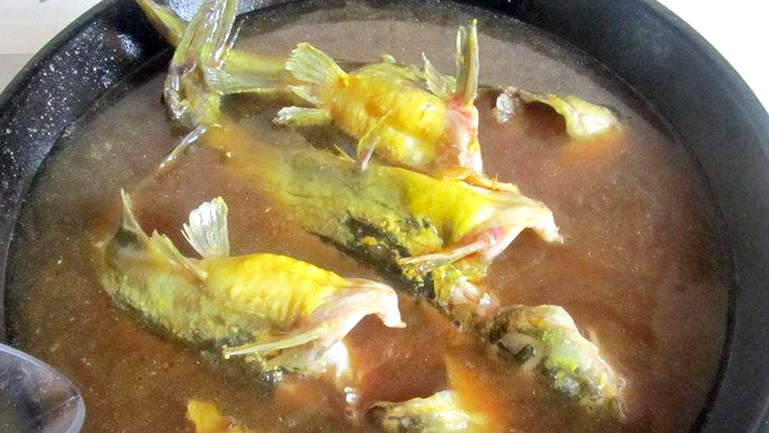 黃骨魚湯的功效與作用、禁忌和食用方法