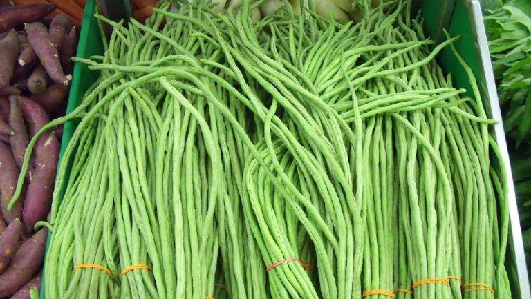 缸豆的功效與作用、禁忌和食用方法