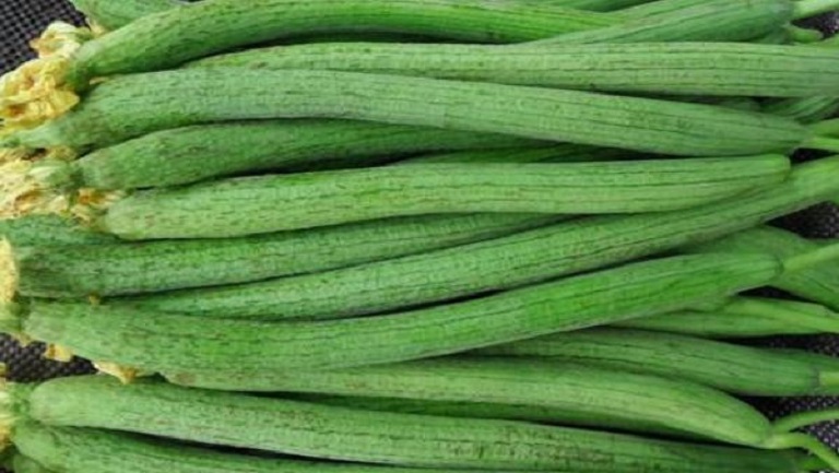 絲瓜根的功效與作用、禁忌和食用方法