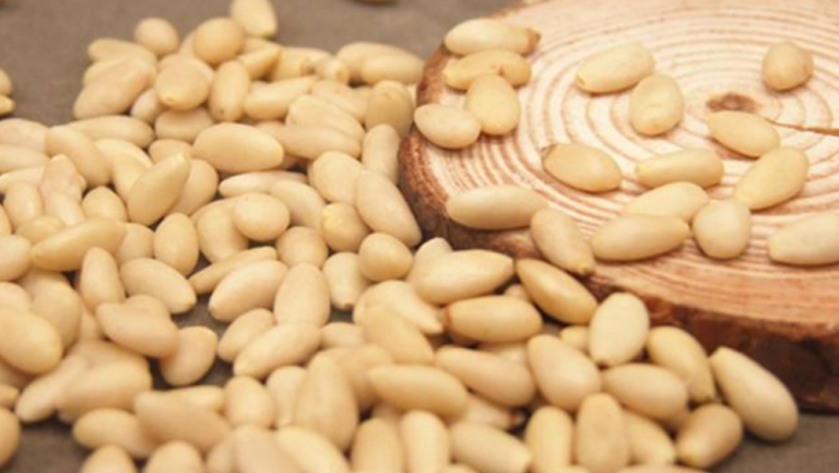 松子仁的功效與作用、禁忌和食用方法