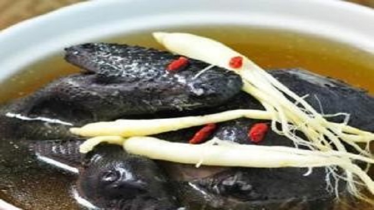 人參烏雞湯的功效與作用、禁忌和食用方法