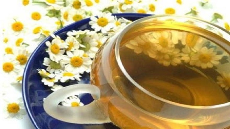 菊花苦丁茶的功效與作用、禁忌和食用方法