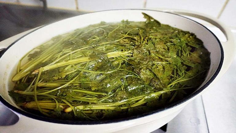 香菜煮水的功效與作用、禁忌和食用方法