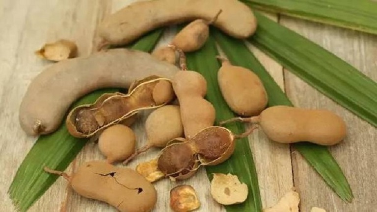 羅望子果的功效與作用、禁忌和食用方法
