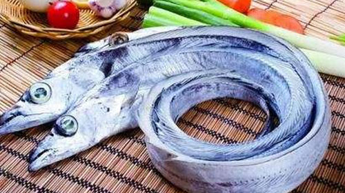 帶魚的功效與作用、禁忌和食用方法