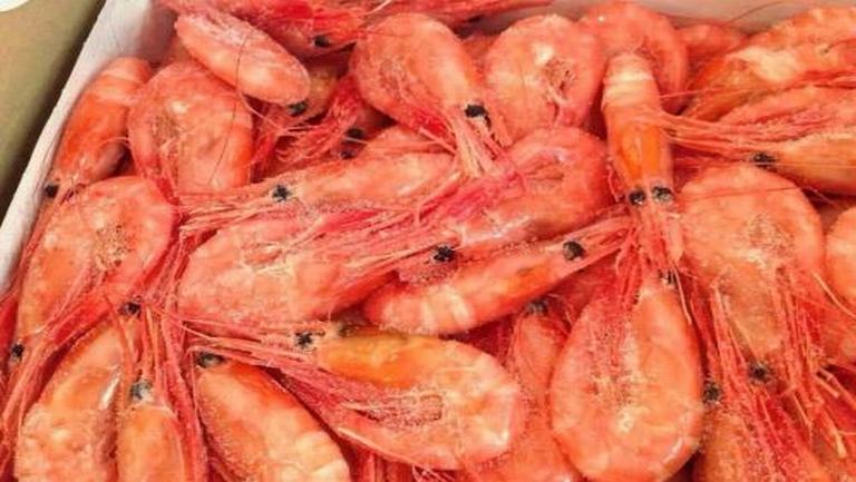 北極蝦的功效與作用、禁忌和食用方法