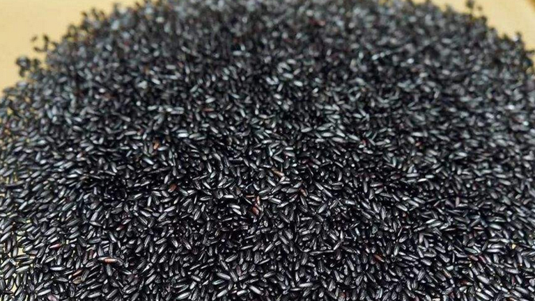 炒黑米的功效與作用、禁忌和食用方法