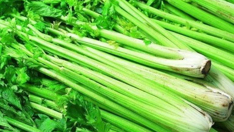 西芹菜的功效與作用、禁忌和食用方法