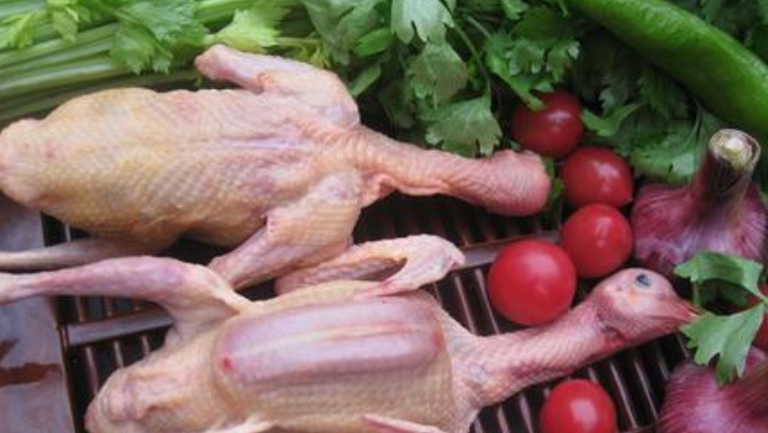 鴿子肉的功效與作用、禁忌和食用方法