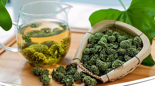 三七花泡水的功效與作用、禁忌和食用方法