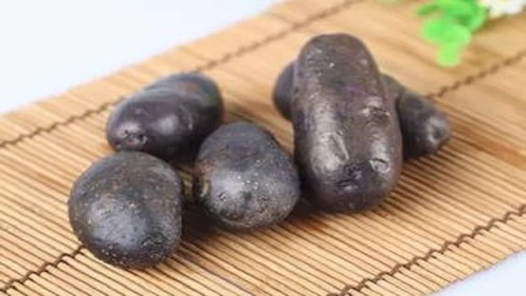 黑土豆的功效與作用、禁忌和食用方法