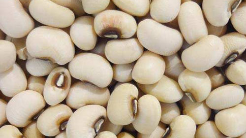眉豆的功效與作用、禁忌和食用方法
