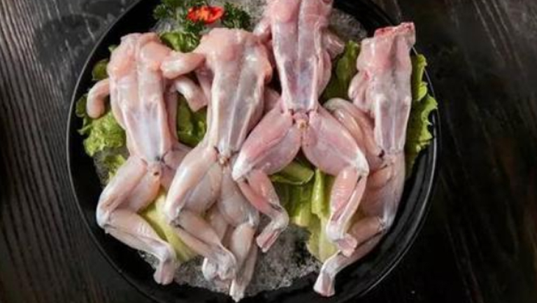 牛蛙肉的功效與作用、禁忌和食用方法