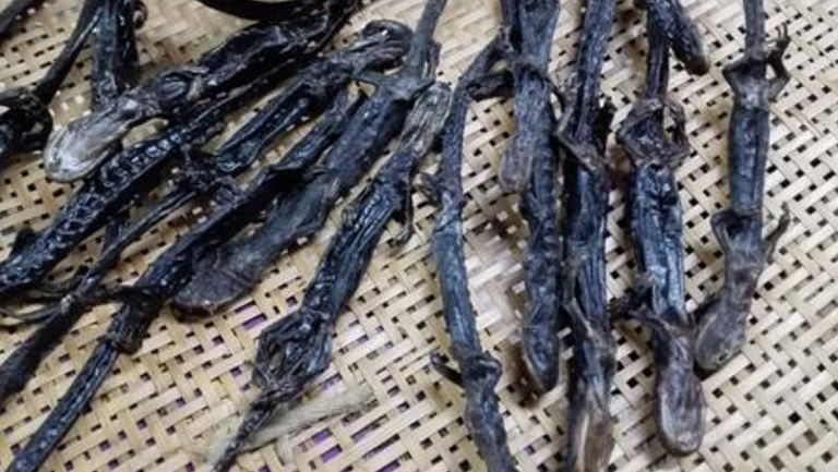 羌活魚的功效與作用、禁忌和食用方法