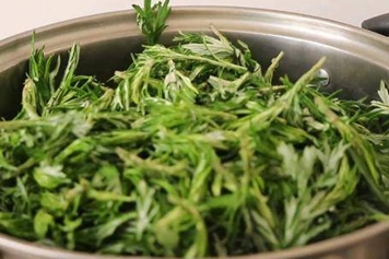 蒸艾草的功效與作用、禁忌和食用方法