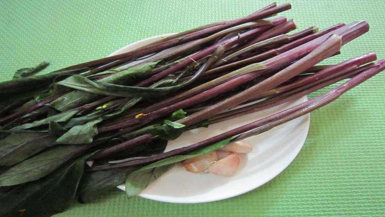 紅菜苔的功效與作用、禁忌和食用方法